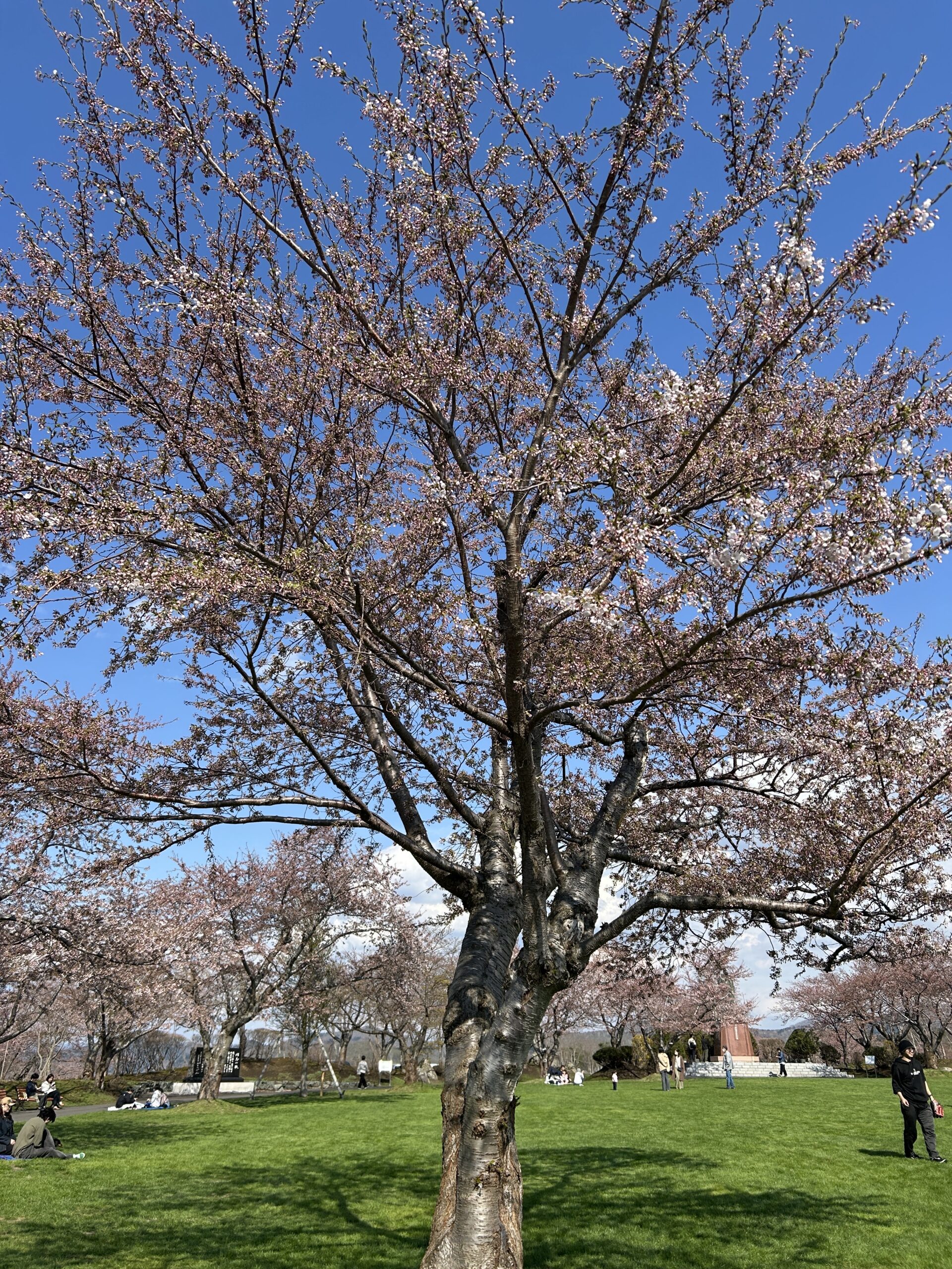 IMG_5366 | 株式会社エリアネット