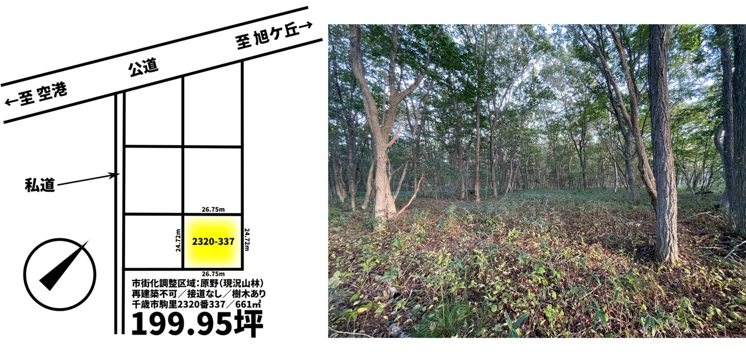 | 株式会社エリアネット