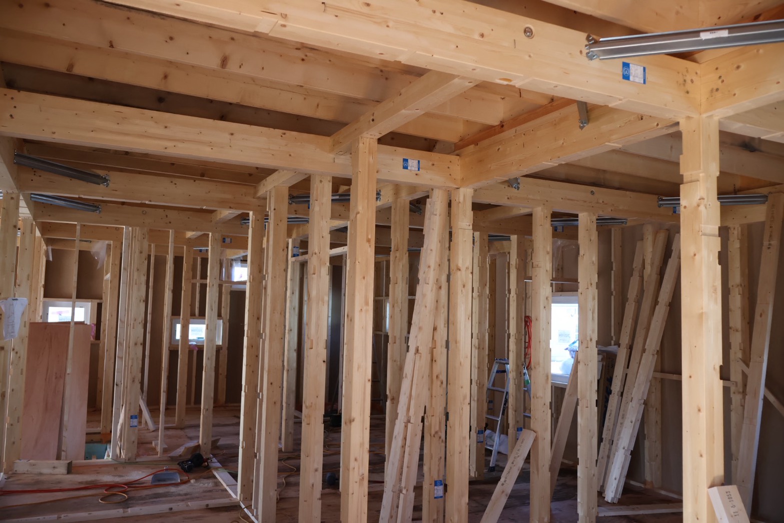 S__99532809_0 | 株式会社エリアネット